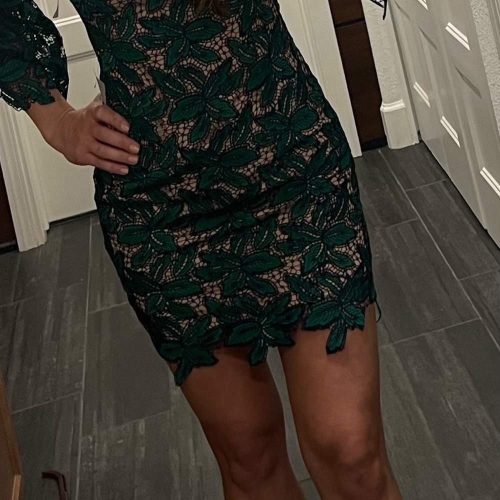 Dress the Population Lace Mini Cocktail Dress (Green/Navy) - Picture 4 of 13